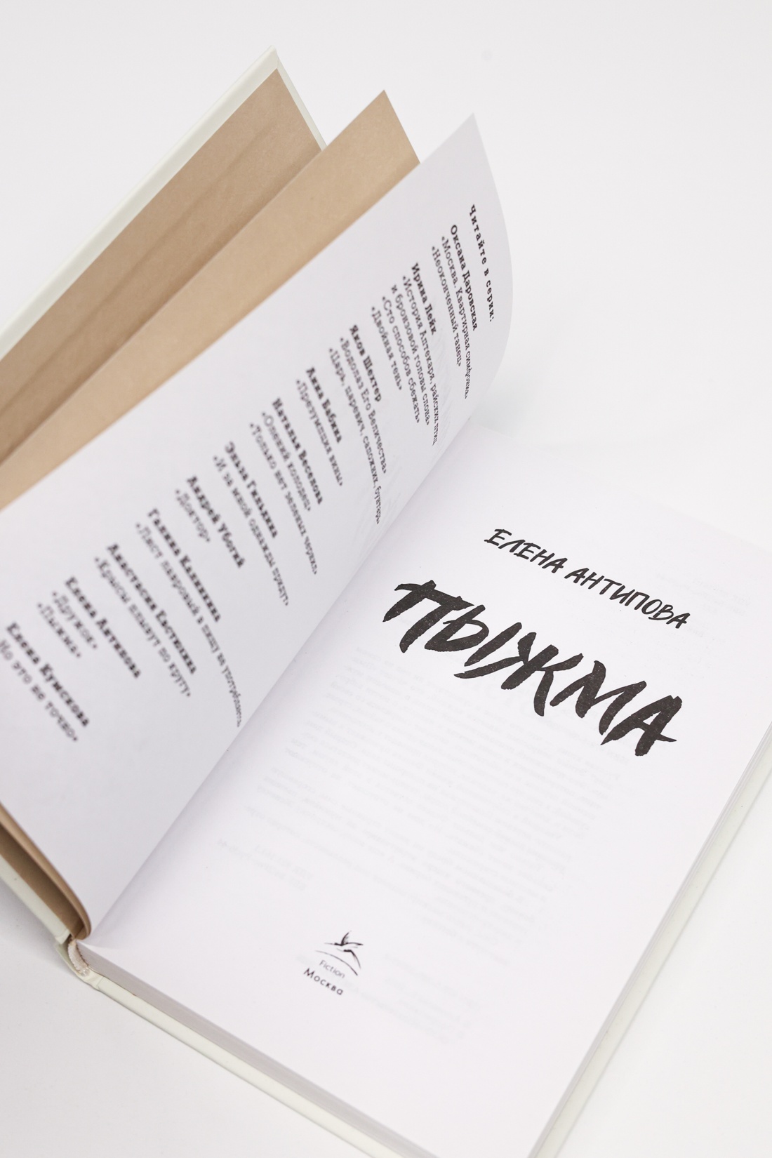 Промо материал к книге "Пыжма" №8
