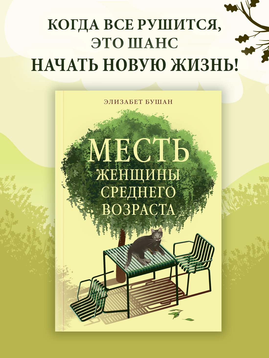 Промо материал к книге "Месть женщины среднего возраста" №0