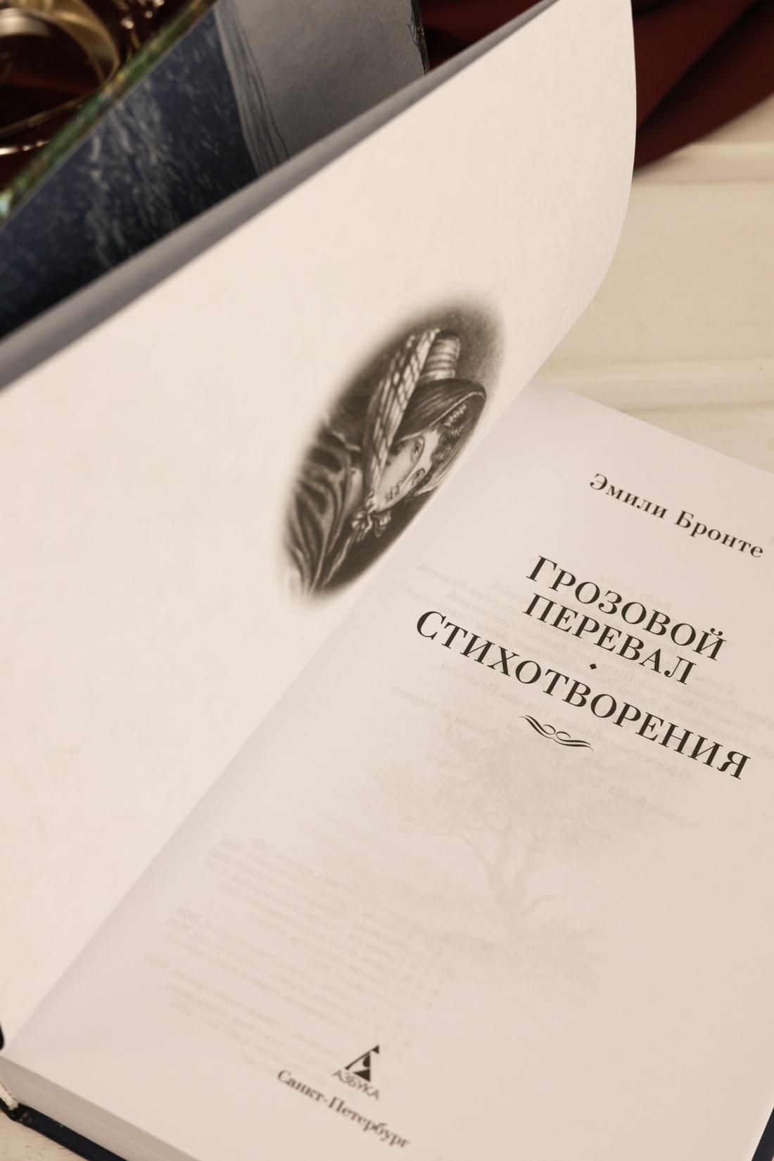 Промо материал к книге "Грозовой перевал. Стихотворения" №9
