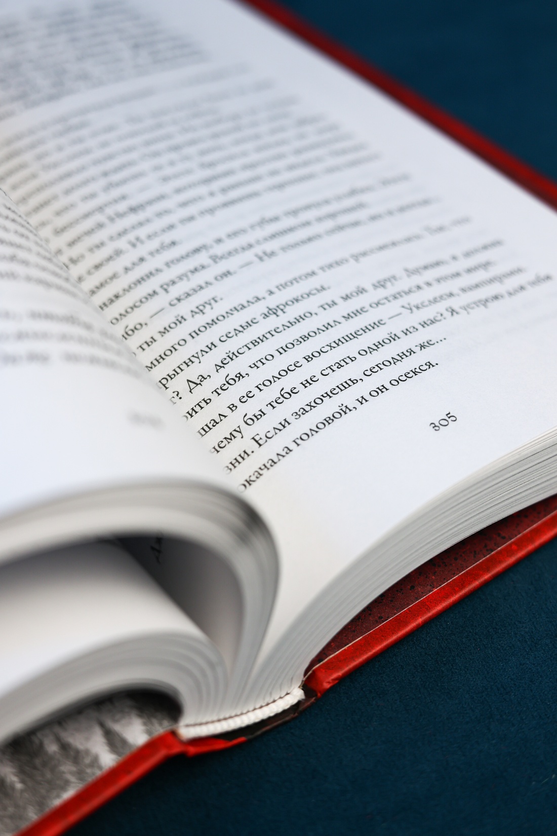 Промо материал к книге "Вечная погибель" №12