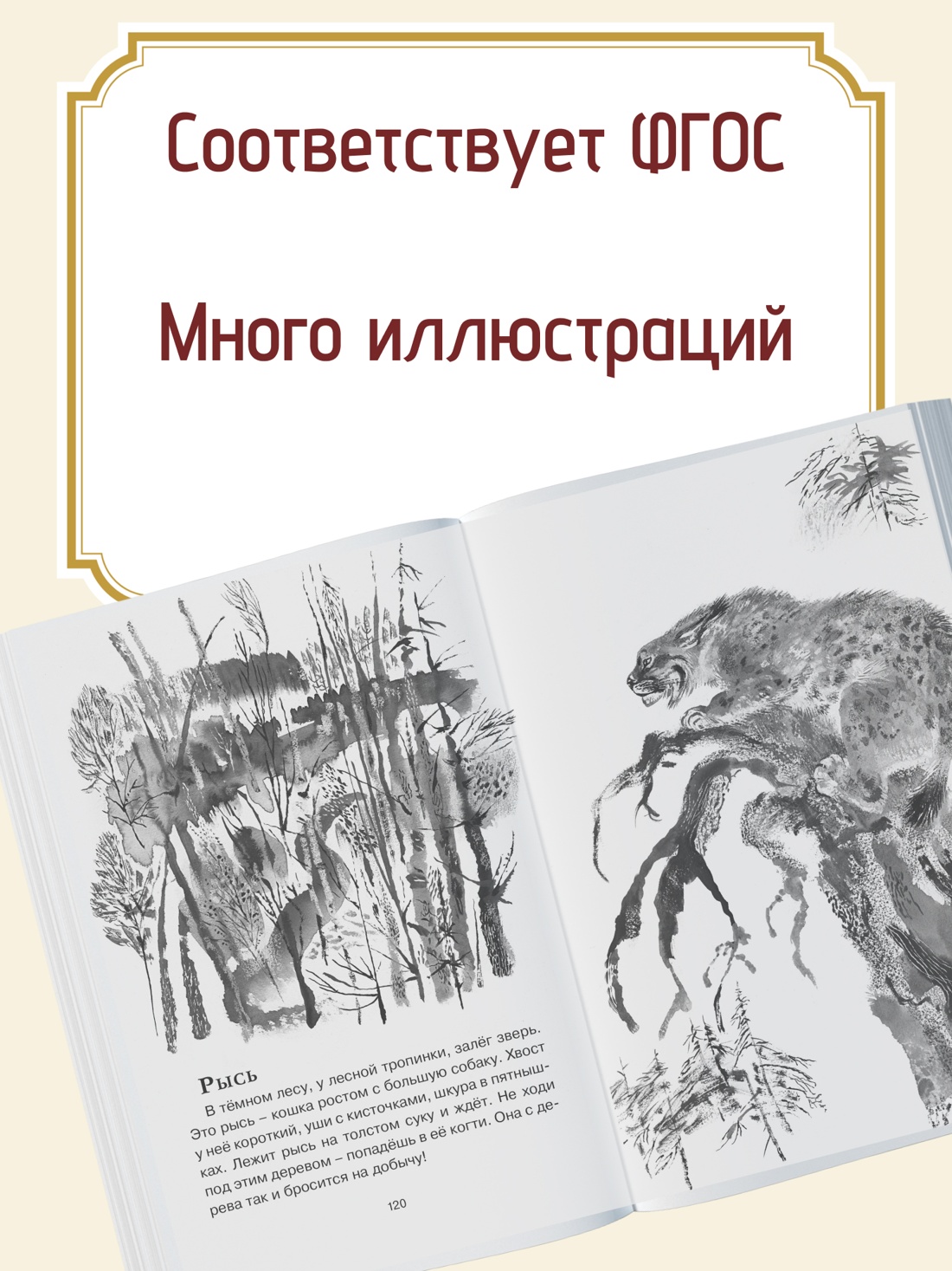 Промо материал к книге "Друзья" №1