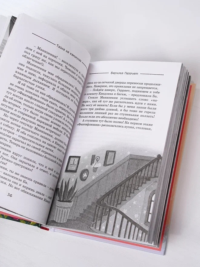Промо материал к книге "Тайна на каникулах" №11