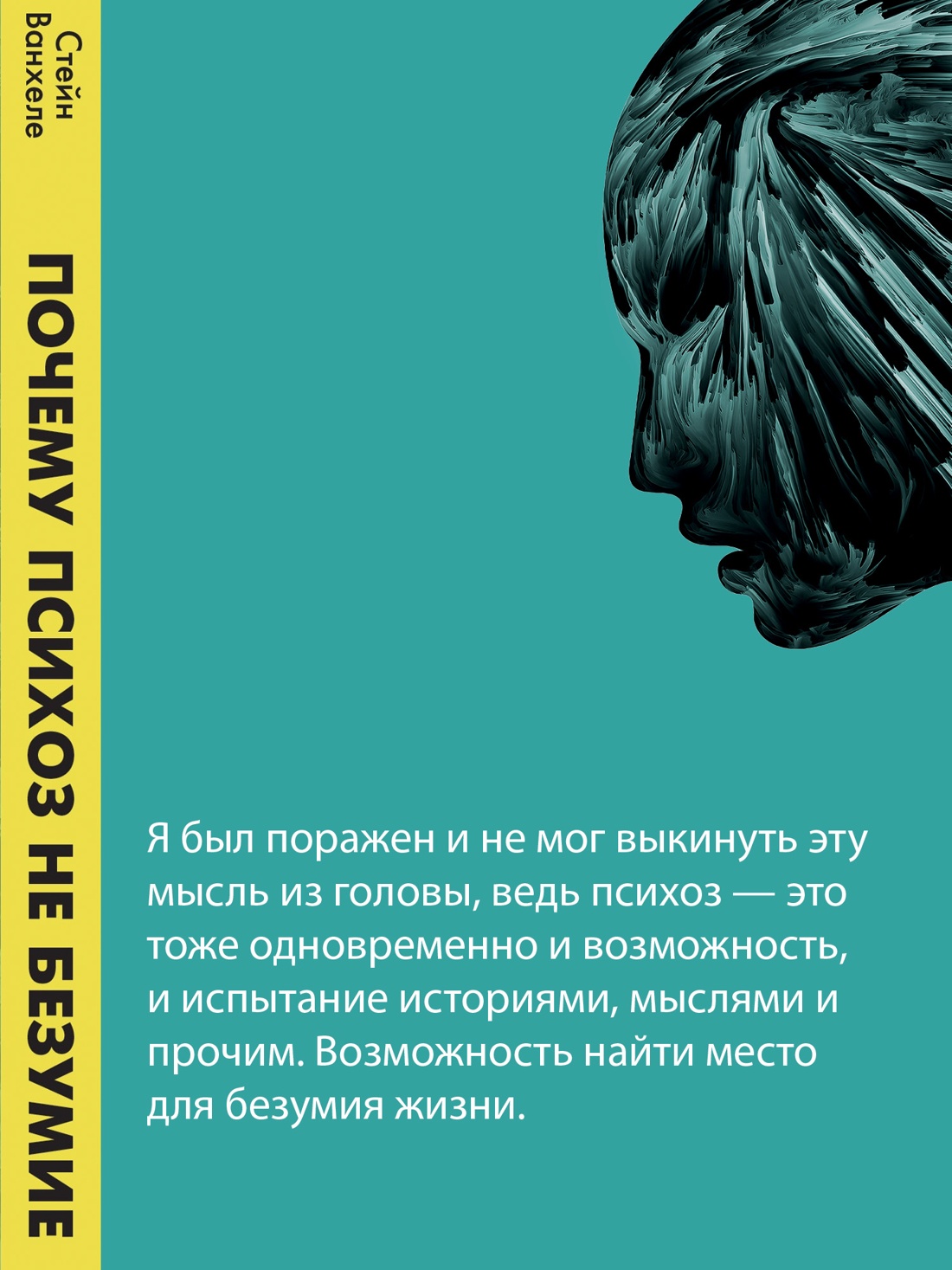 Промо материал к книге "Почему психоз не безумие. Рекомендации для специалистов, пациентов и их родных" №0