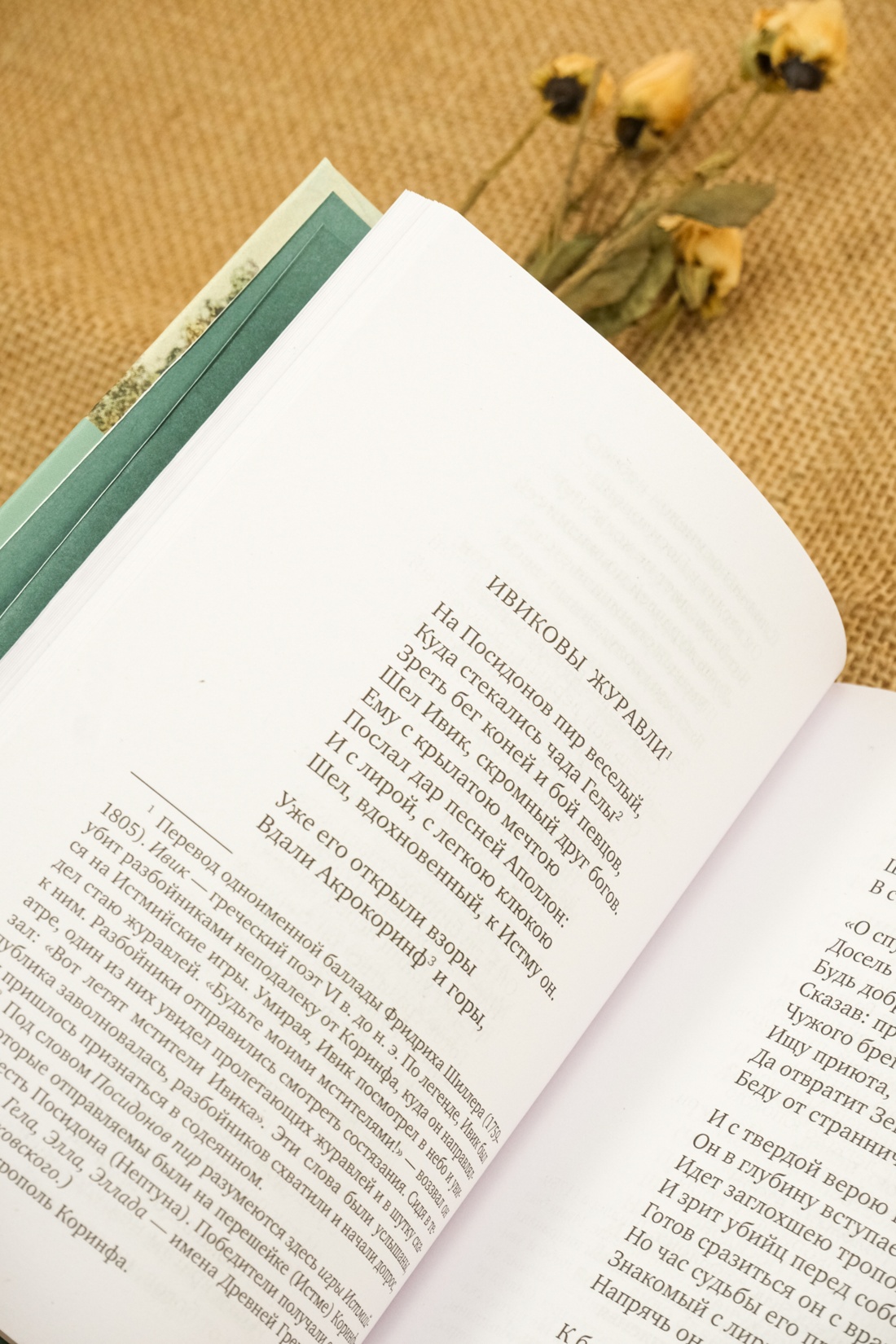 Промо материал к книге "Золотой век русской поэзии" №1