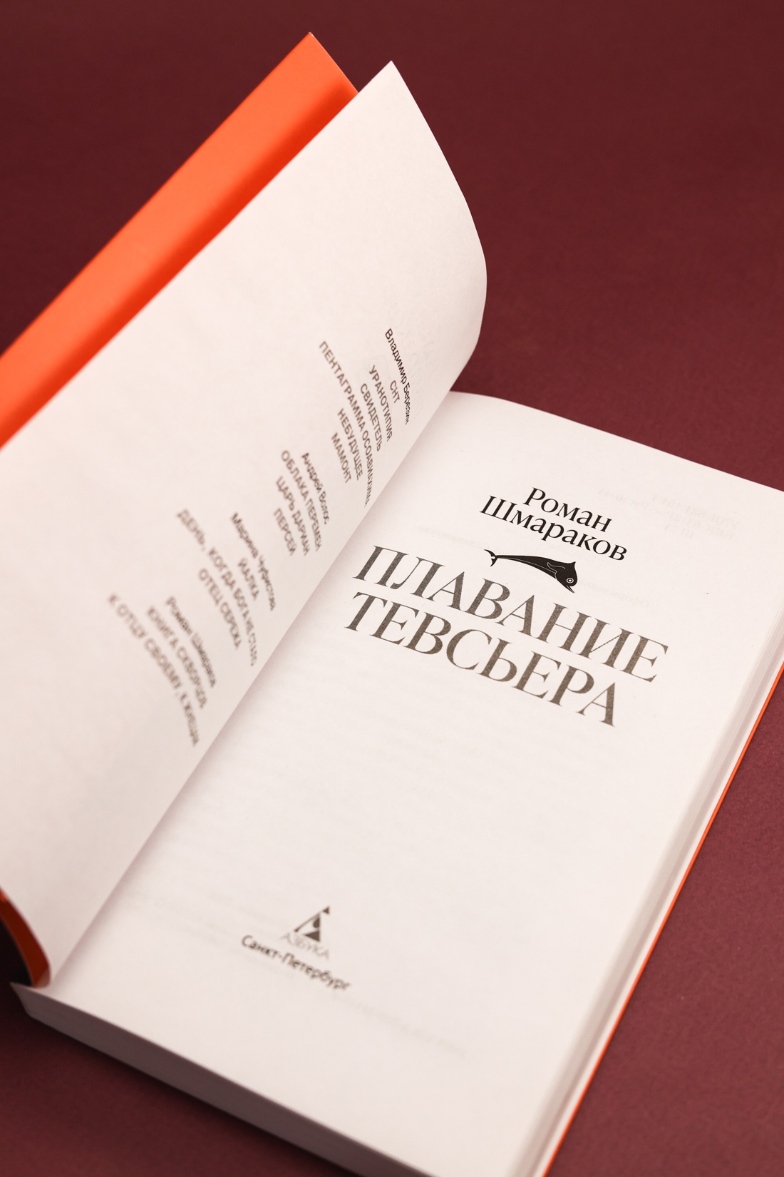 Промо материал к книге "Плавание Тевсьера" №6