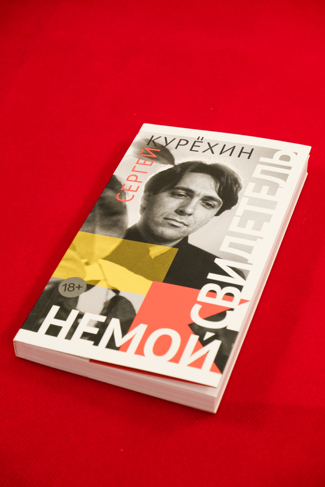 Промо материал к книге "Немой свидетель" №2