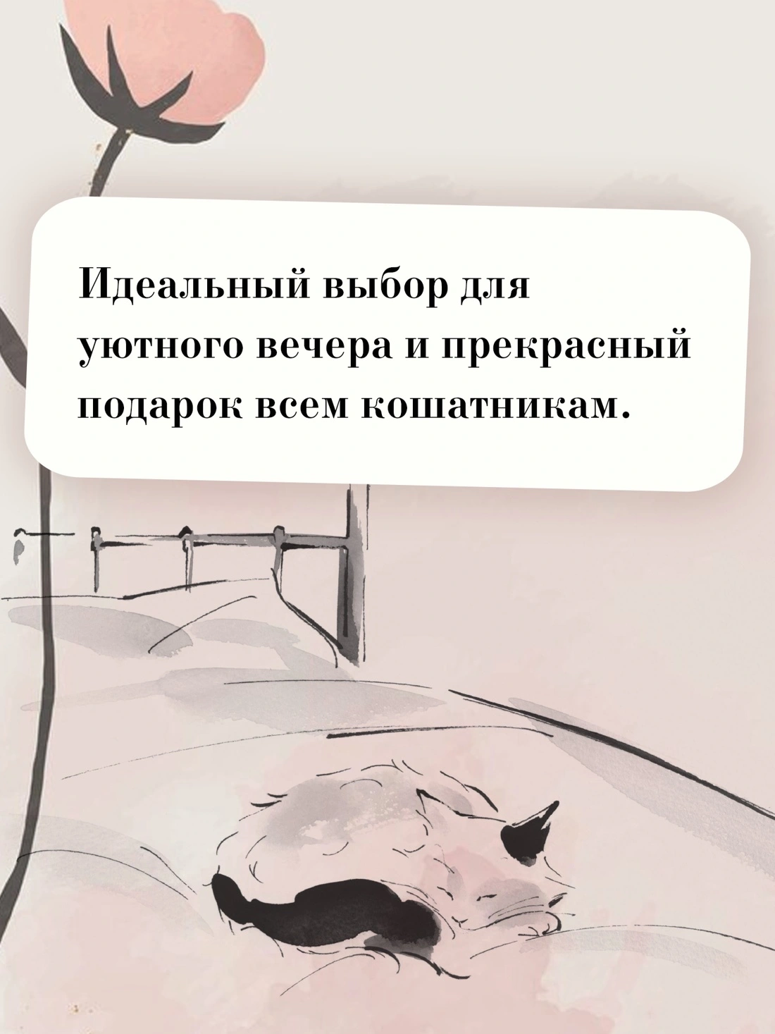 Купить книгу «Хроники странствующего кота», Хиро Арикава